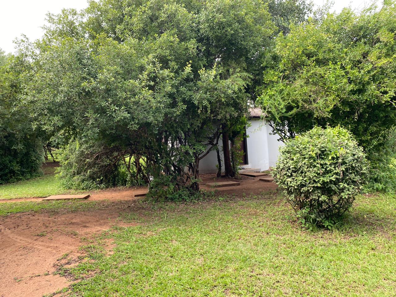 Gallery Image 21